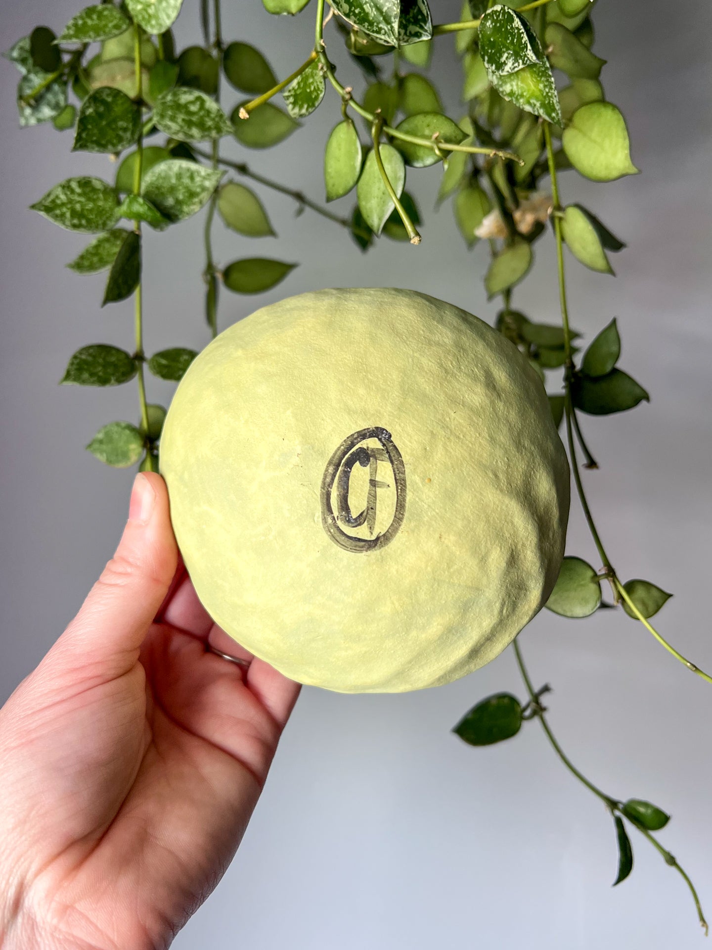 chartreuse pattern trinket dish