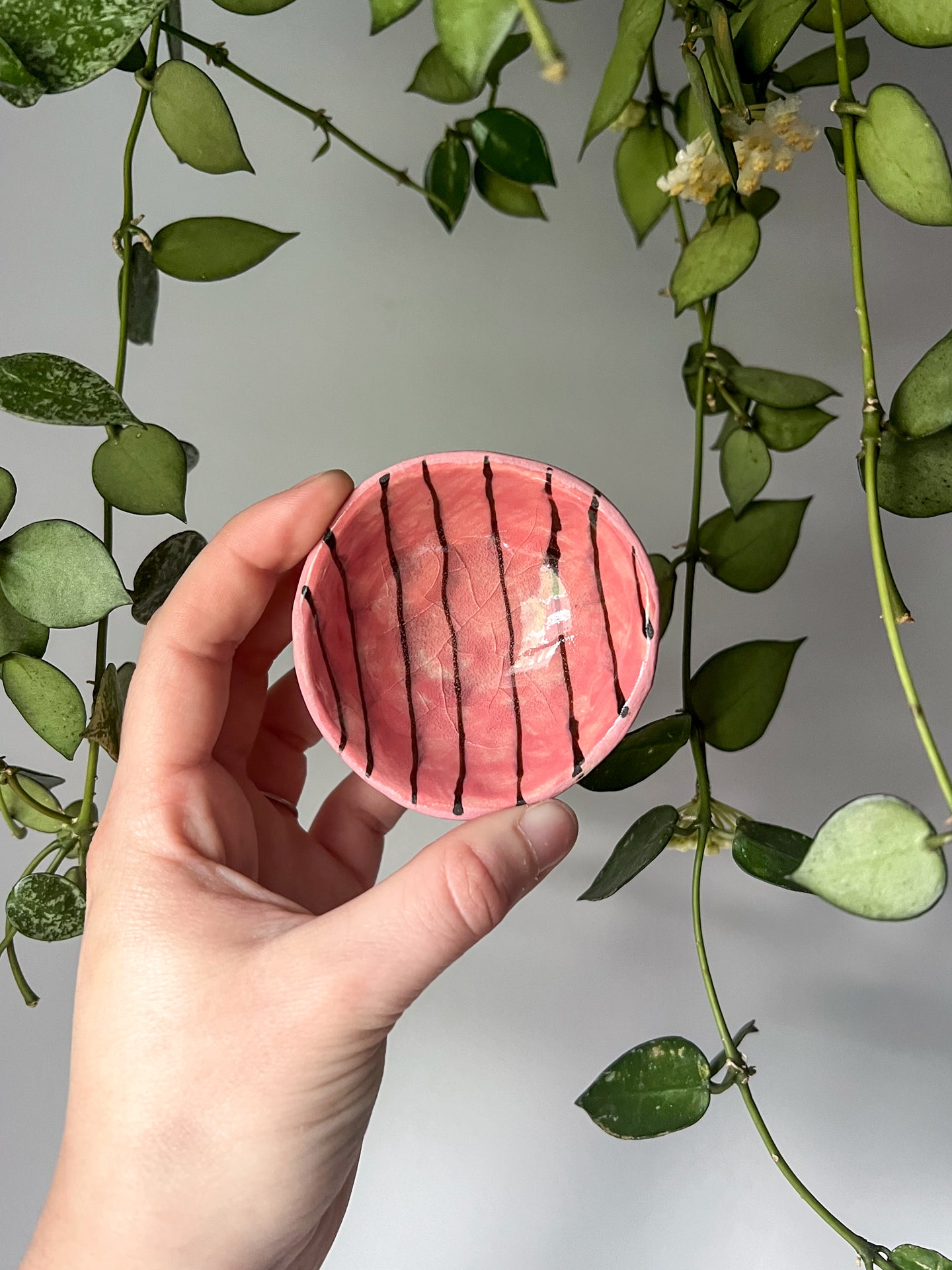 pink stripes teensy dish