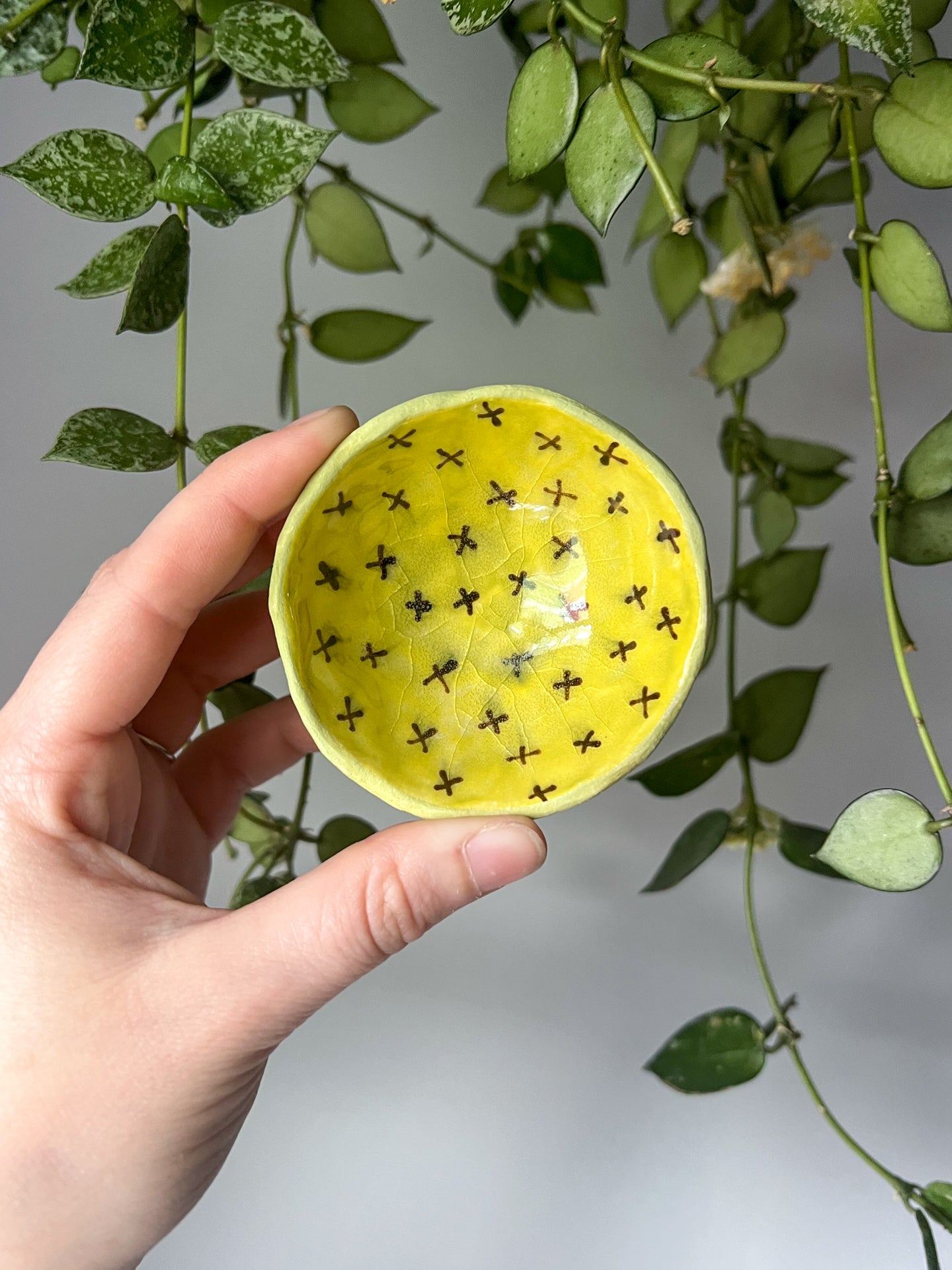 chartreuse x's teensy dish