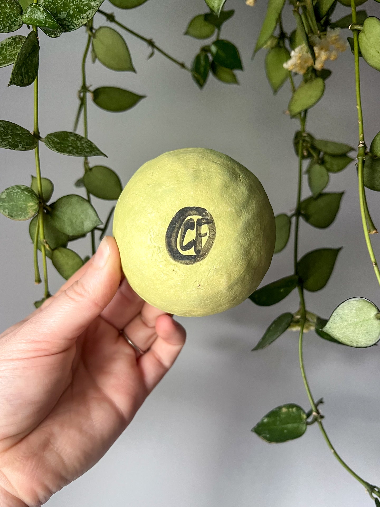 chartreuse x's teensy dish