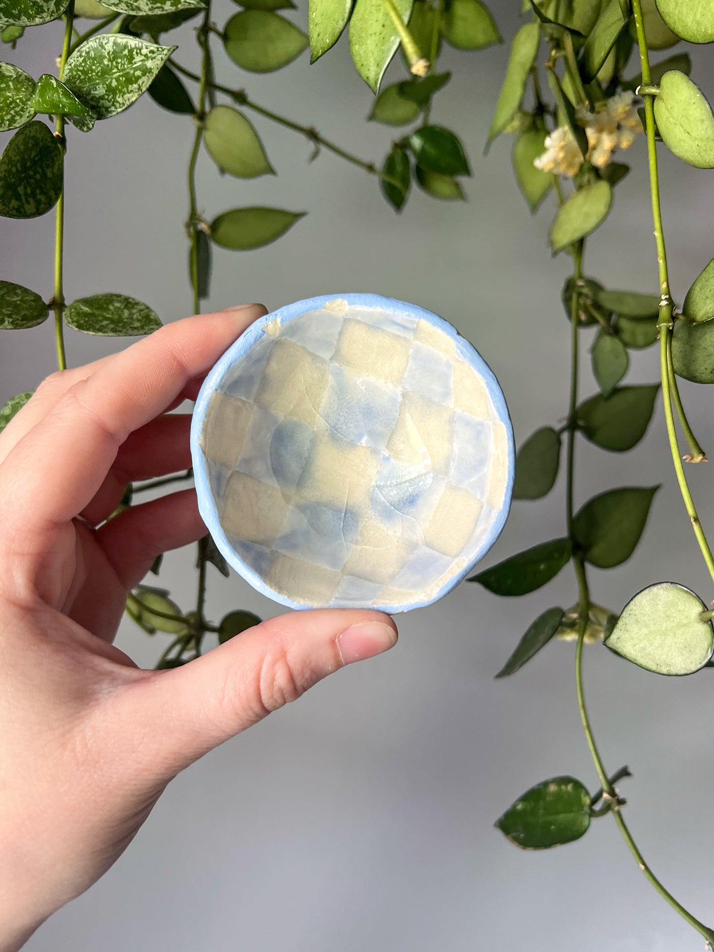blue + white teensy dish