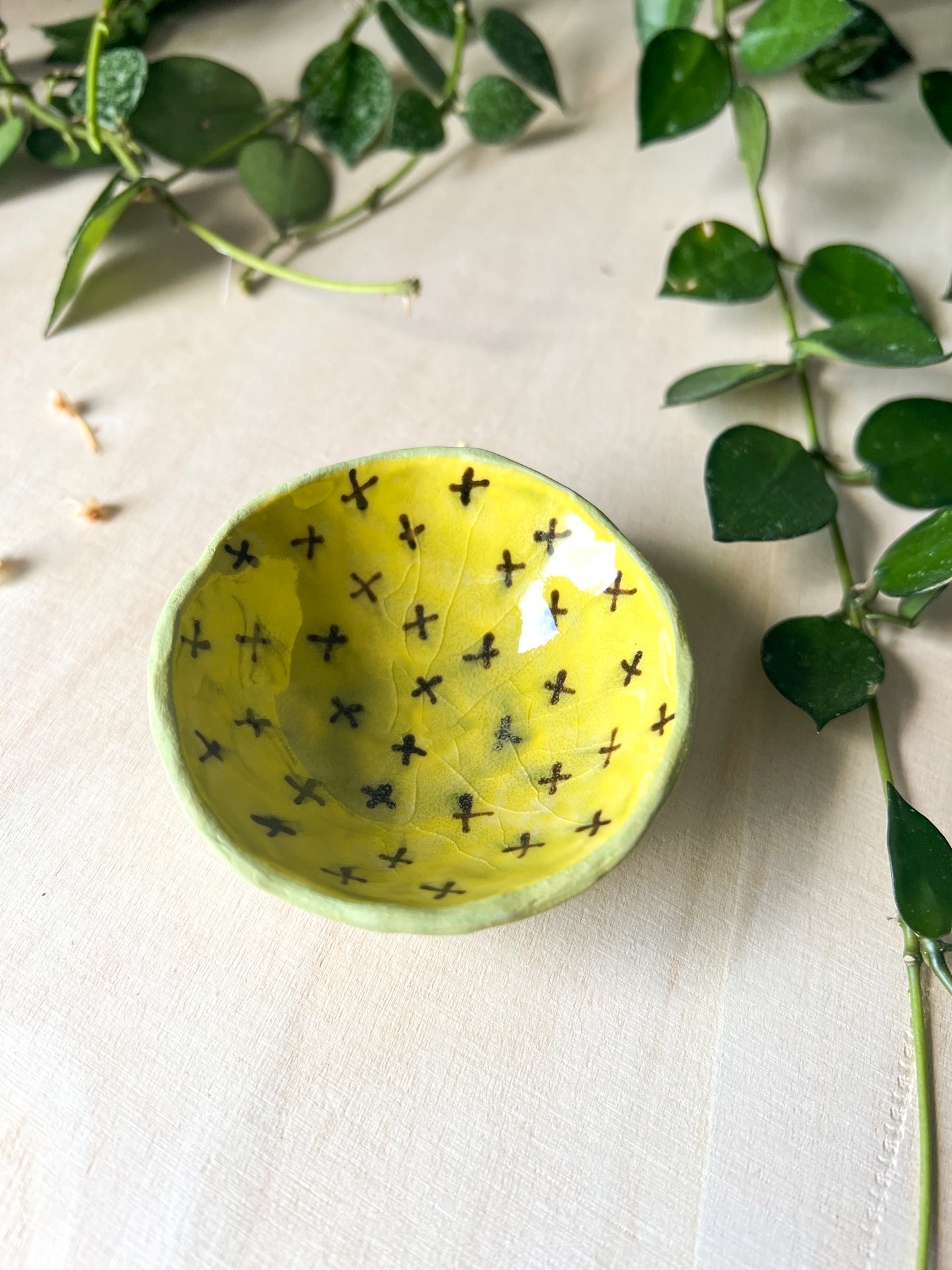 chartreuse x's teensy dish