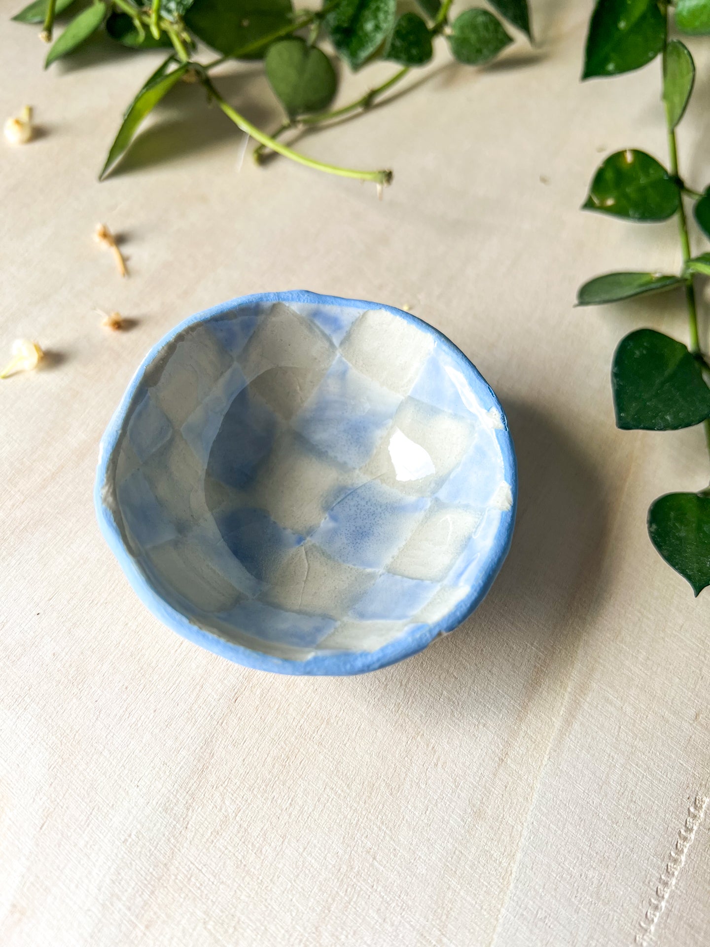 blue + white teensy dish