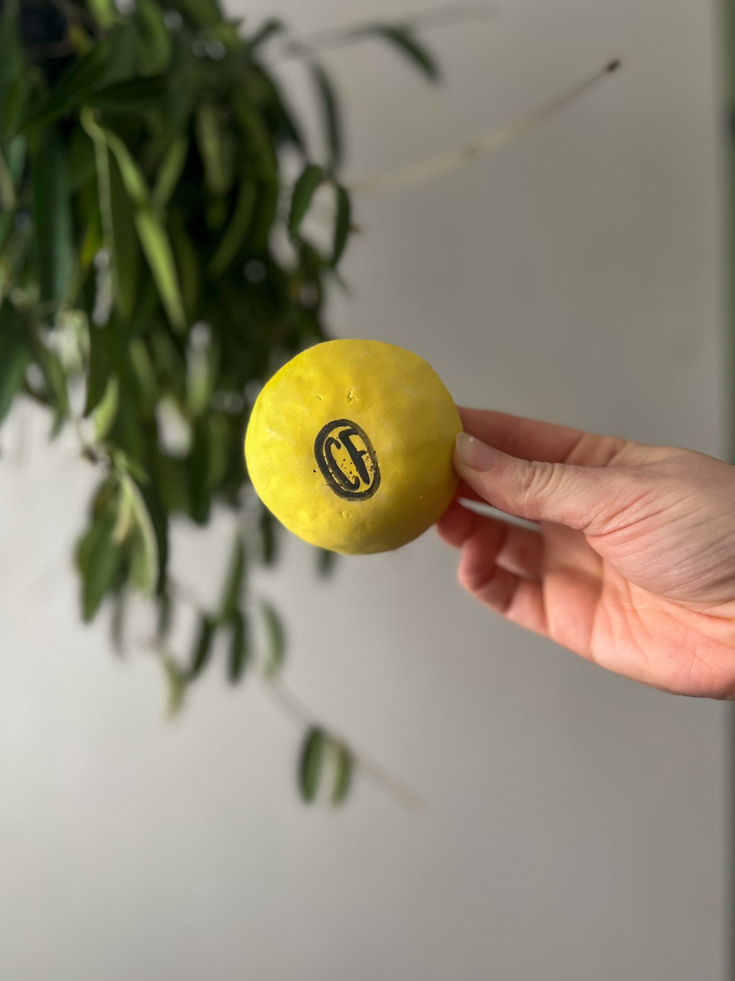 yellow checkered teensy dish