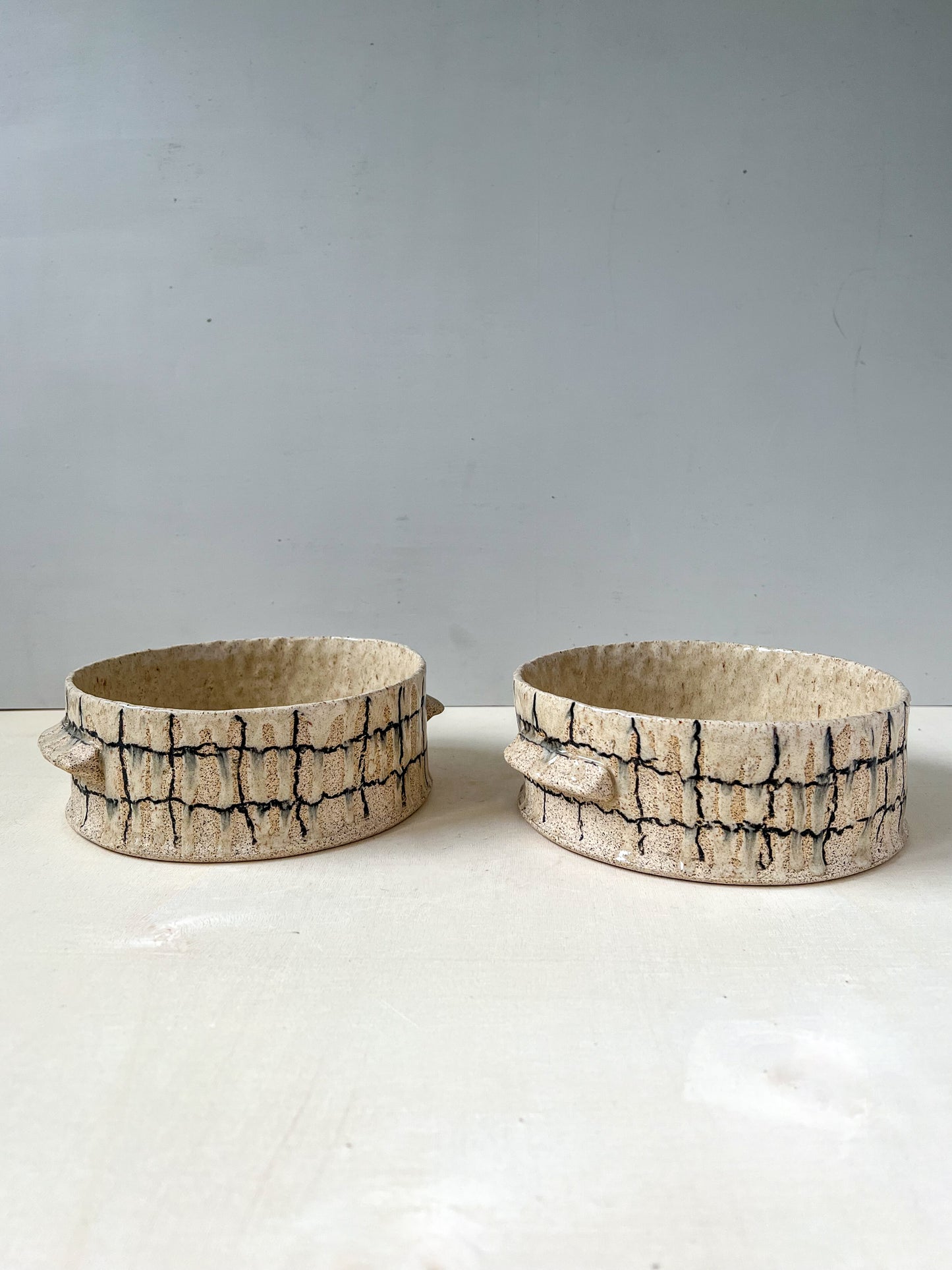 *single only* speckled grid pet bowl set - large