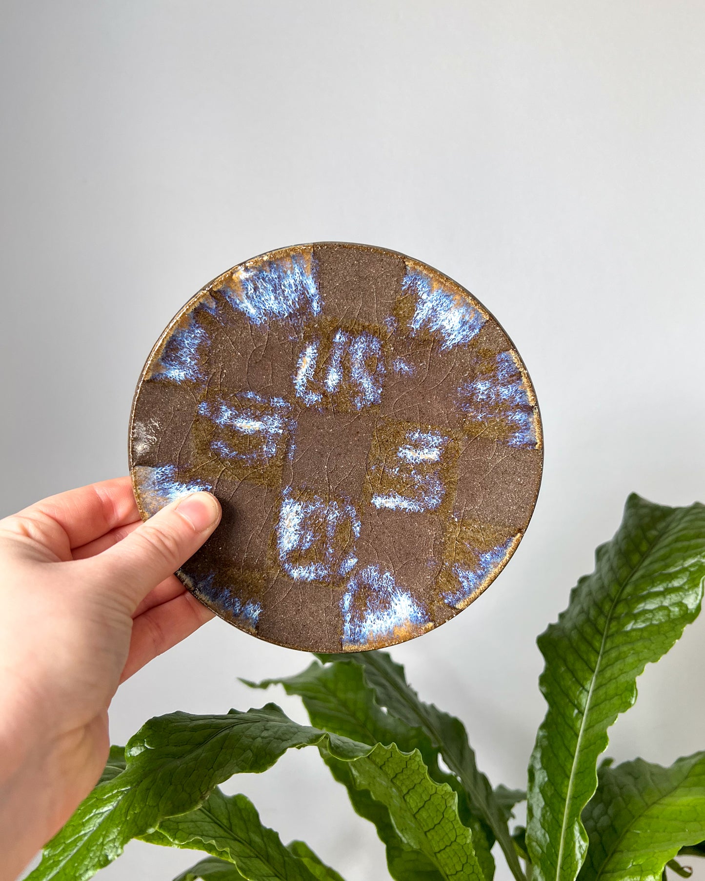 blue checkered small plate