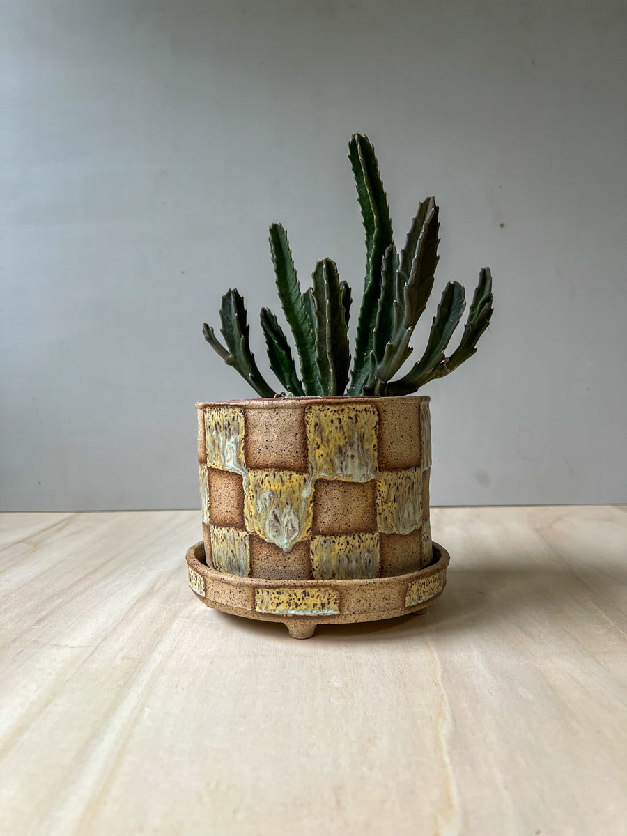 planter 23