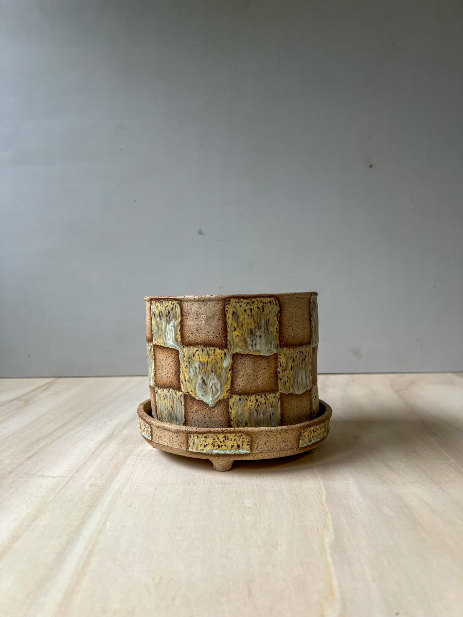 planter 23