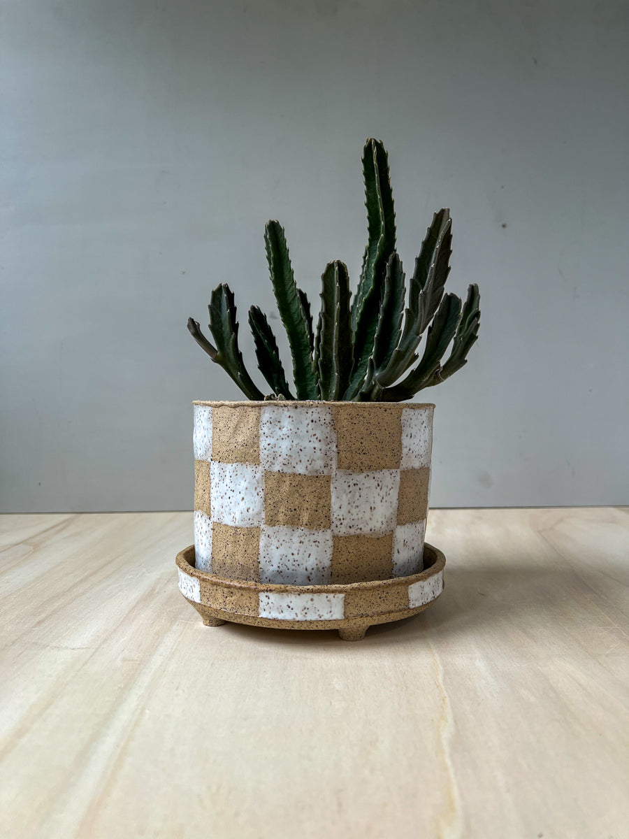 planter 21
