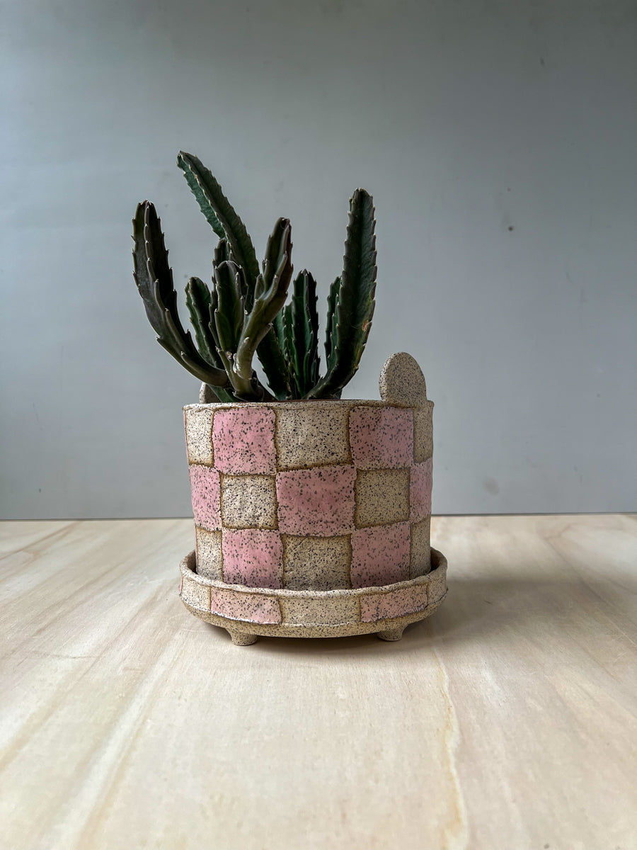 planter 24
