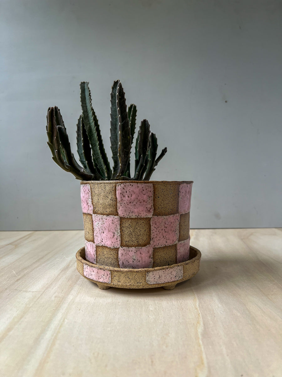 planter 22