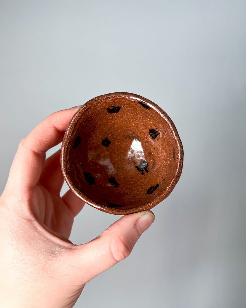 deep polka dot teensy dish