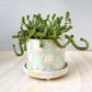 planter 18