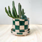 planter 15
