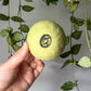 chartreuse x's teensy dish