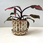 earthy speckled planter (with a matching dish!)
