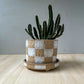 planter 21