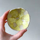 trinket dish 27